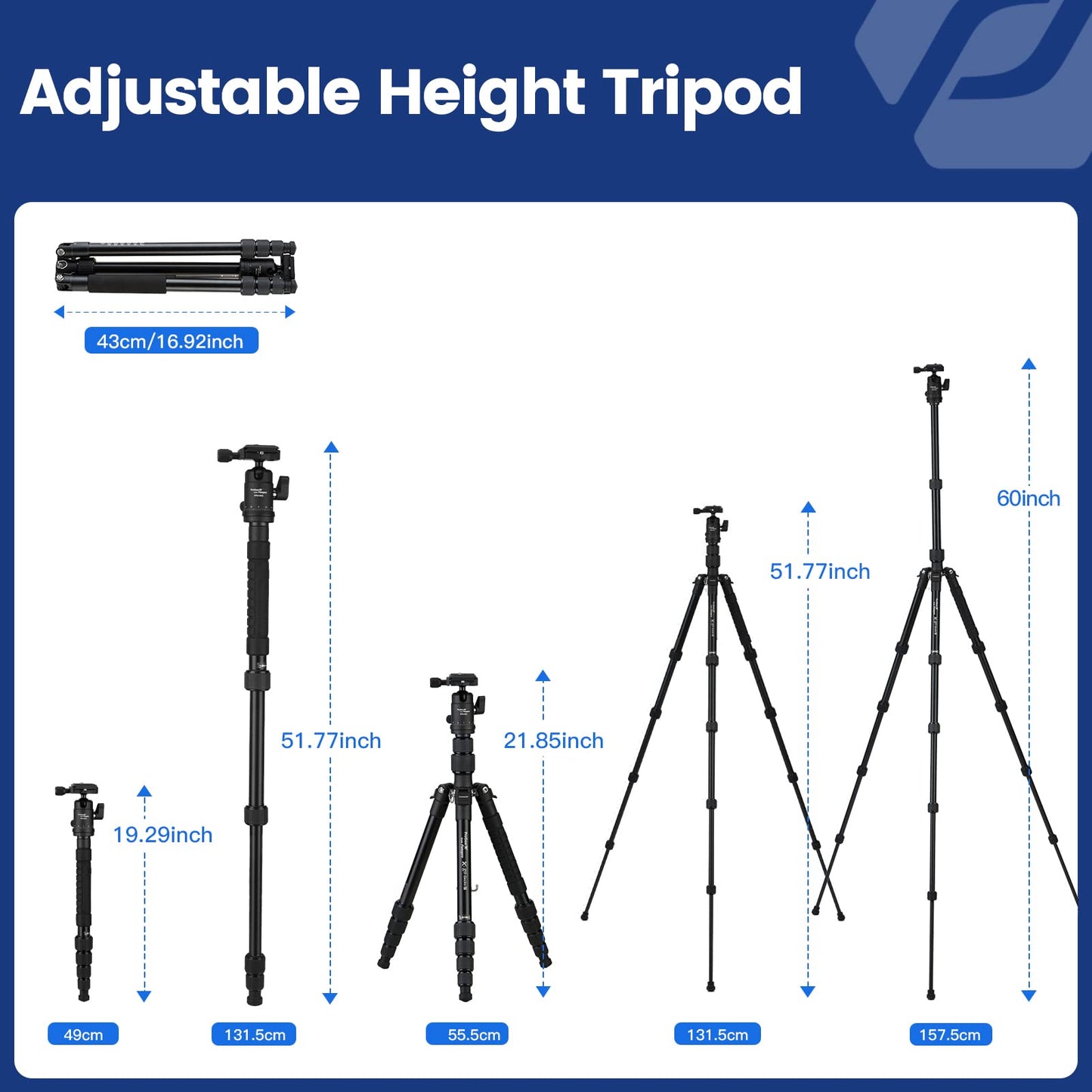 Fotopro 62" Aluminum Tripod, Ball Head - X - Go Chameleon(Grey) - Fotopro AMZ