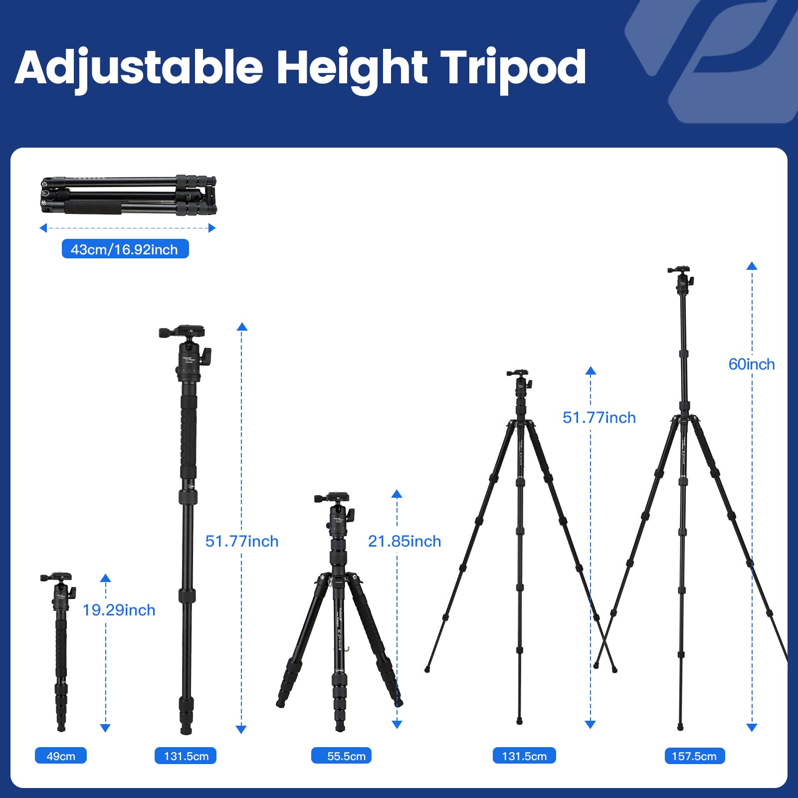 Fotopro 62" Aluminum Tripod, Ball Head - X - Go Chameleon(Grey) - Fotopro AMZ