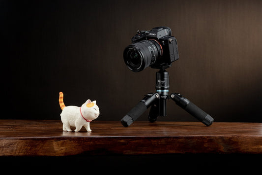 Comparison of Top Mini Tripods on Amazon - Fotopro